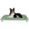Acrimet Elevated Pet Dog Bed (Green Color)